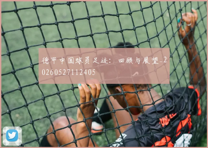 德甲中国球员足迹:回顾与展望_20260527112405