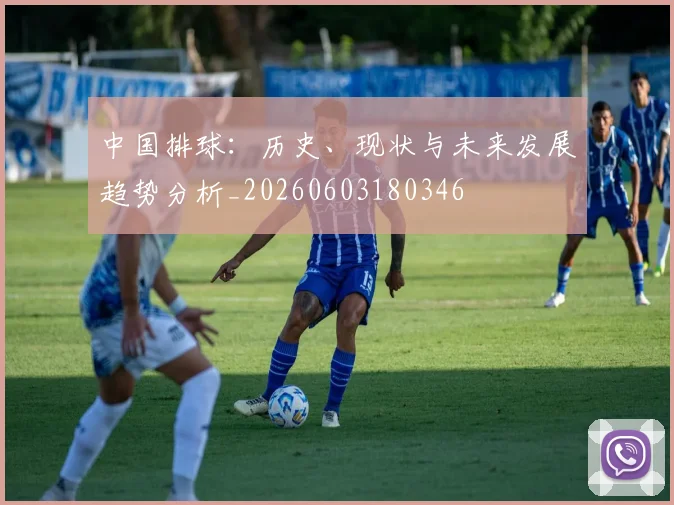 中国排球：历史、现状与未来发展趋势分析_20260603180346