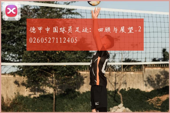 德甲中国球员足迹：回顾与展望_20260527112405