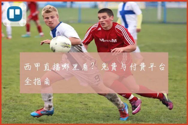 西甲直播哪里看？免费与付费平台全指南