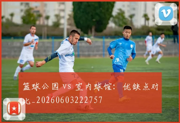 篮球公园 vs 室内球馆:优缺点对比_20260603222757